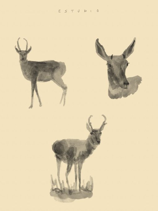 Animal sketch II