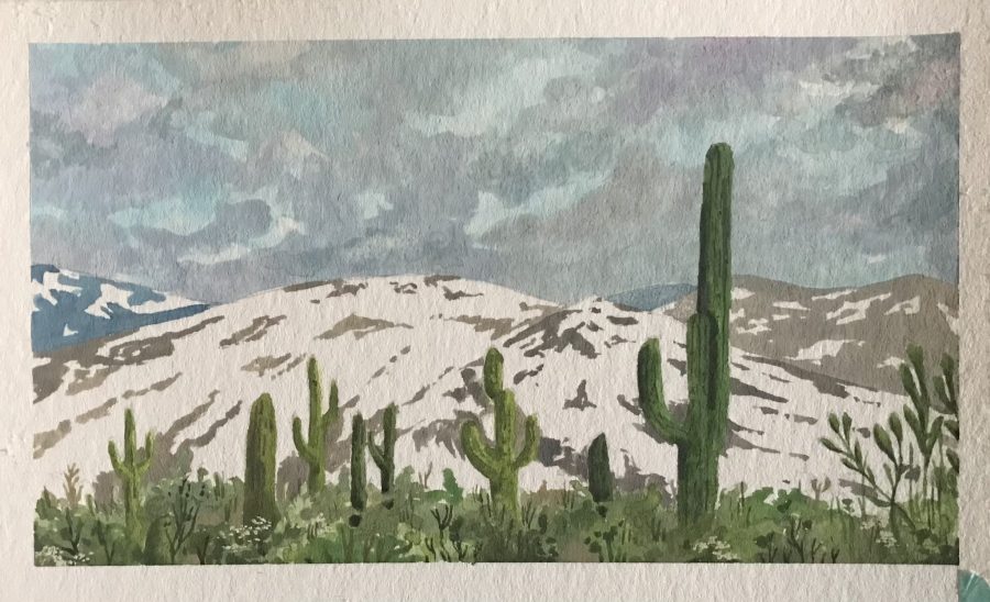 spring in the mountains